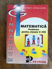 Probleme pentru clasele V- VIII - Ion Petrica / R2P3S