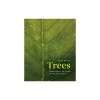 Trees: From Root to Leaf