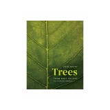 Trees: From Root to Leaf