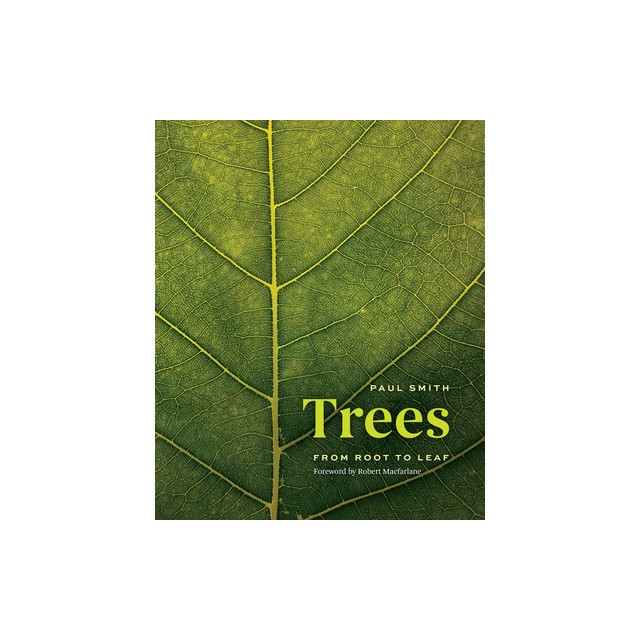 Trees: From Root to Leaf