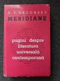 MERIDIANE. Pagini despre literatura universala contemportana - Baconsky