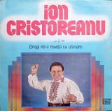Ion Cristoreanu &ndash; Dragi mi-s muntii cu izvoare