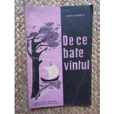 De ce bate vantul - Elena Dumitrescu