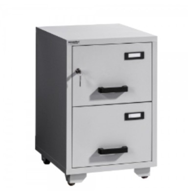 CLASIFICATOR METALIC IGNIFUG (ANTIFOC) CU 2 SERTARE 545x653x895 mm (LxlxH) foto