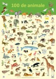 Plansa 100 de animale | Nelson Verlag, Didactica Publishing House