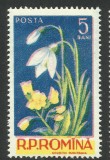 Cumpara ieftin EROARE / VARIETATE ROMANIA 1956 LP 418 FLORI SERIE MNH - DEPLASARE TIPAR