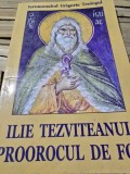 ILIE TEZVITEANUL PROOROCUL DE FOC - GRIGORIE TEOLOGUL