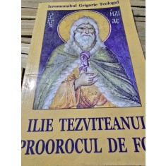 ILIE TEZVITEANUL PROOROCUL DE FOC - GRIGORIE TEOLOGUL
