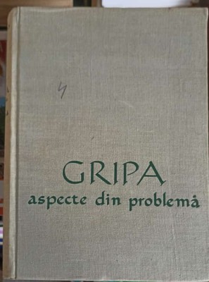 GRIPA ASPECTE DIN PROBLEMA-ADELINA DEREVICI-265964 foto