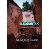 Elsodortak &ndash; A v&ouml;r&ouml;siszap-katasztr&oacute;fa ut&oacute;&eacute;lete: a per - Dr. S&aacute;ndor Zsuzsa