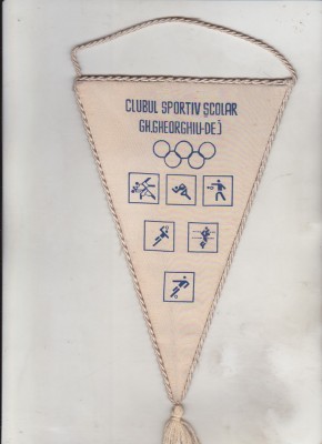 bnk div Fanion CSS Gheorghiu-dej foto