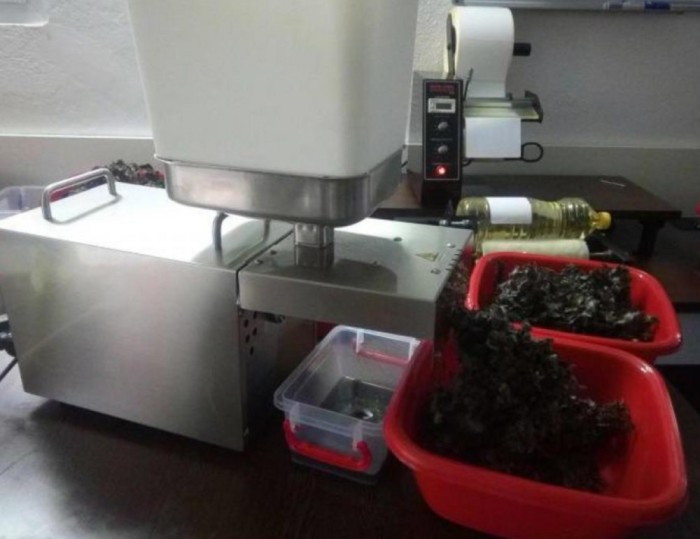 Presa ulei teste acid oleic