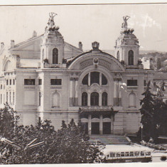 bnk cp Cluj - Teatrul National - circulata