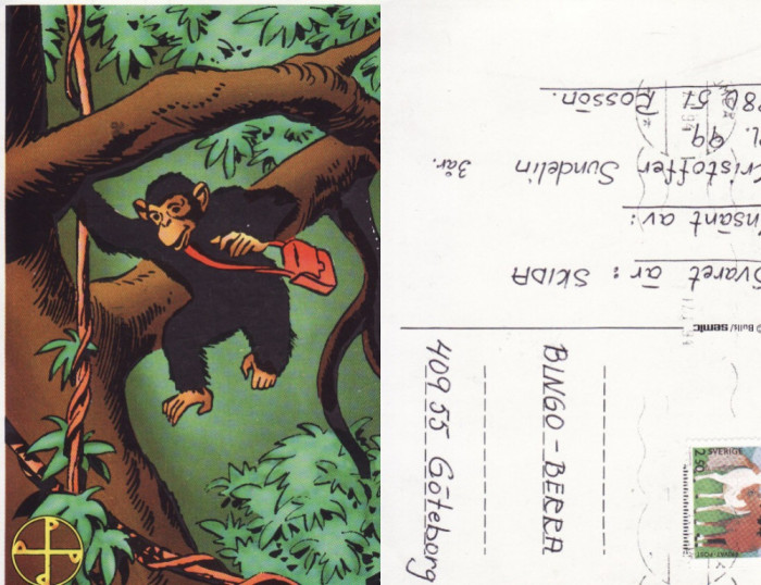 Ilustrata animale- Maimuta