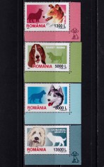 ✅RO 2001 LP 1551 &quot;Rase de caini&quot;,serie colt ( stanga sau dreapta ! ), MNH