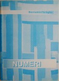 Numeri 1:1-14:45 - Beniamin Faragau - Carte Crestinism, Religioasa