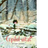 Copilul uitat. Un basm scandinav - Emilia Dziubak, Kai Luftner