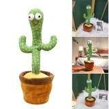 Cactus dansator si vorbitor