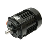 Motor electric antrenare perie 48V 1200W pentru masina THOR AAA548