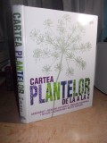 CARTEA PLANTELOR DE LA A LA Z : GRADINARIT , RETETE CULINARE , NATURISTA , 2010