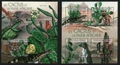 BURUNDI 2012 CACTUSI SI FAUNA foto