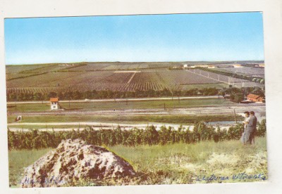 bnk cp Statiunea experimentala viticola Murfatlar - Vedere - uzata foto