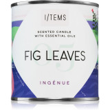 I/TEMS Artist Collection 05 / Fig Leaves lum&acirc;nare parfumată 200 g
