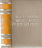 G. Calinescu Intre Apollo Si Dionysos - D. Micu