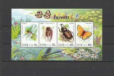 COREEA DE NORD 2003 FAUNA INSECTE foto