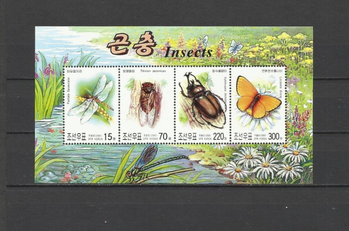 COREEA DE NORD 2003 FAUNA INSECTE