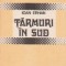 Tarmuri in Sud