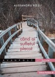 C&acirc;nd ai sufletul plecat - Paperback brosat - Alexandru Roșu - Paralela 45