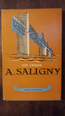 A. SALIGNY- ION CRISAN foto