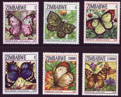 ZIMBABWE 2007 FAUNA INSECTE FLUTURI foto