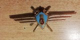 QW9 N 41 - insigna - militar - bomba pe scut cu stea totul pe aripi loc 3, Europa