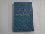 DE LA RAUTU SI ROLLER LA MUSAT SI ARDELEANU - FLORIN CONSTANTINIU