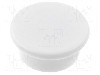 Magnet neodim, 8mm, 18mm, ELESA+GANTER - GN 53.1-ND-18-WS