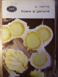 Floare si Genune - P. Cerna, 1968, Editura Pentru Tineret, Beletristica, Poezie, Coperta Necartonata