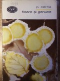 FLOARE SI GENUNE-P. CERNA