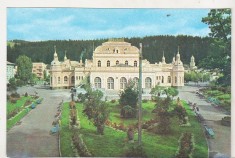 bnk cp Vatra Dornei - Vedere din parc - necirculata