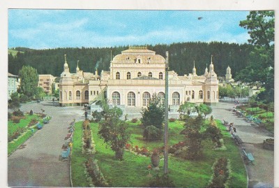 bnk cp Vatra Dornei - Vedere din parc - necirculata foto