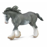 Armasar Clydesdale Negru, Collecta