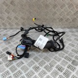 Cablaj ușă dreapta față SKODA SKODA ENYAQ iV SUV 5AC, 5AZ 2021 OEM: 5LB971121AG 25743892