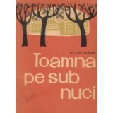 Toamna pe sub nuci