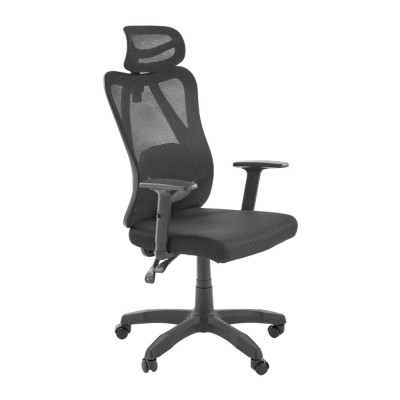 Scaun birou ergonomic HM Ramos, mesh, mecanism multiblock, baza polipropilena, suport lombar reglabil, cotiere ajustabile, 120 kg, negru foto