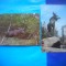 HOPCT LOT NR 460 CERVIDE POLARE -FAUNA-2 CARTI POSTALE-NECIRCULATE