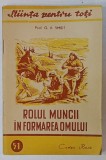 ROLUL MUNCII IN FORMAREA OMULUI - G.A. SMIDT, 1950, Cartea Rusa, Coperta Brosata