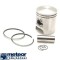 Piston Peugeot Speedfight - X-Fight &ndash; Buxy &ndash; Zenith &ndash; Vivacity &ndash; Trekker &ndash; Ludix &ndash; Jet Force 2T 50cc D39.95 bolt 12