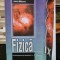 Fizica, manual pentru clasa a IX-a - Vasile Falie
