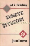 Sunete si Culori - Al. I. Fridus, Editura Junimea, 1984, Roman